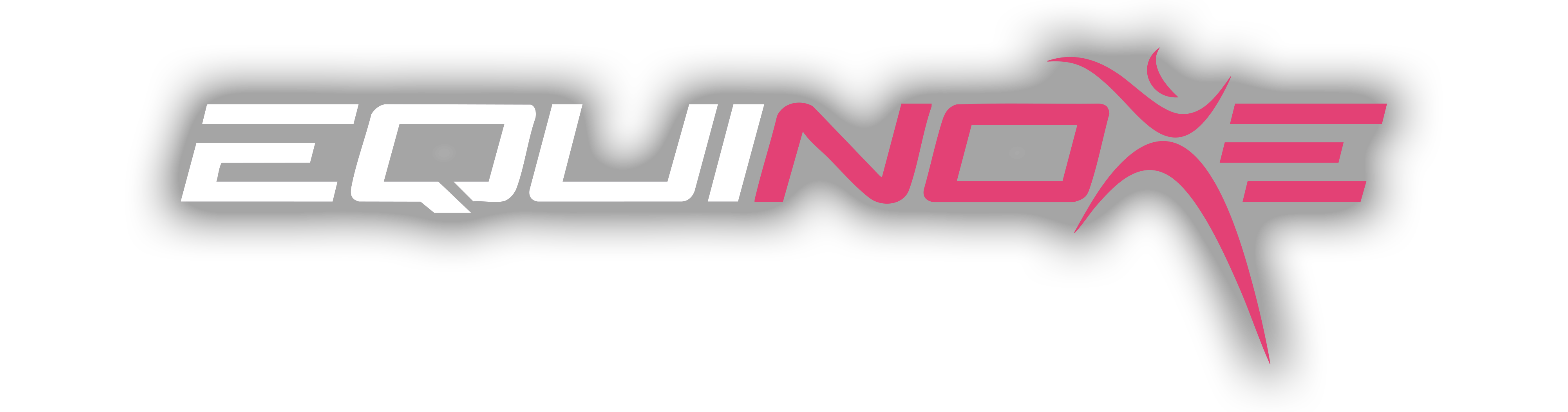 Logo Equinoxe Blanc avec Halo